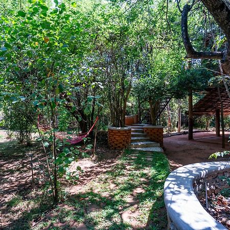 The Thick Forest Sigiriya Dış mekan fotoğraf