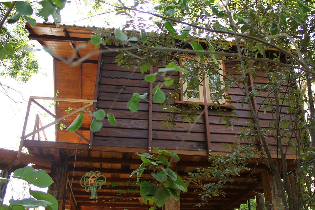The Thick Forest Sigiriya Oda fotoğraf