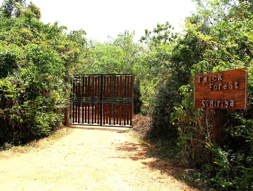 The Thick Forest Sigiriya Dış mekan fotoğraf