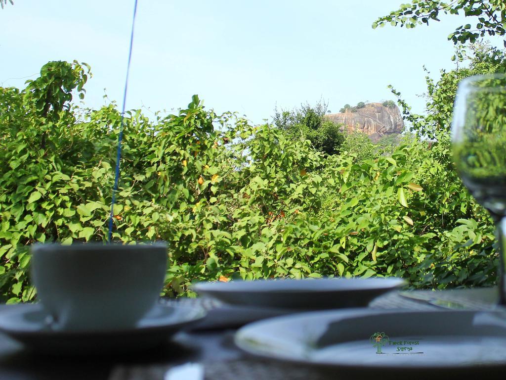 The Thick Forest Sigiriya Dış mekan fotoğraf
