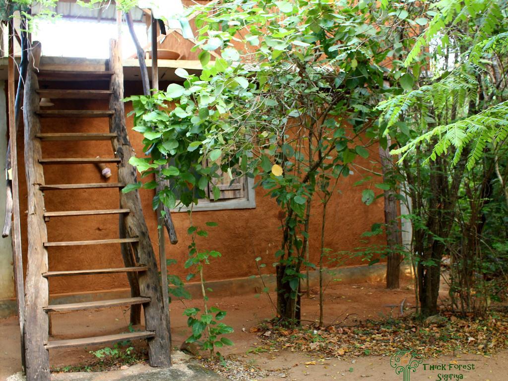 The Thick Forest Sigiriya Dış mekan fotoğraf