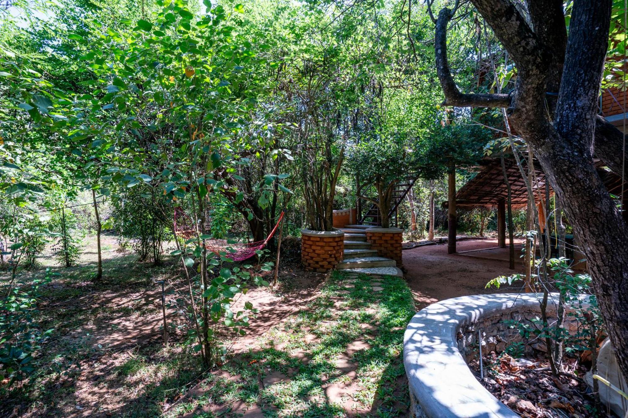 The Thick Forest Sigiriya Dış mekan fotoğraf