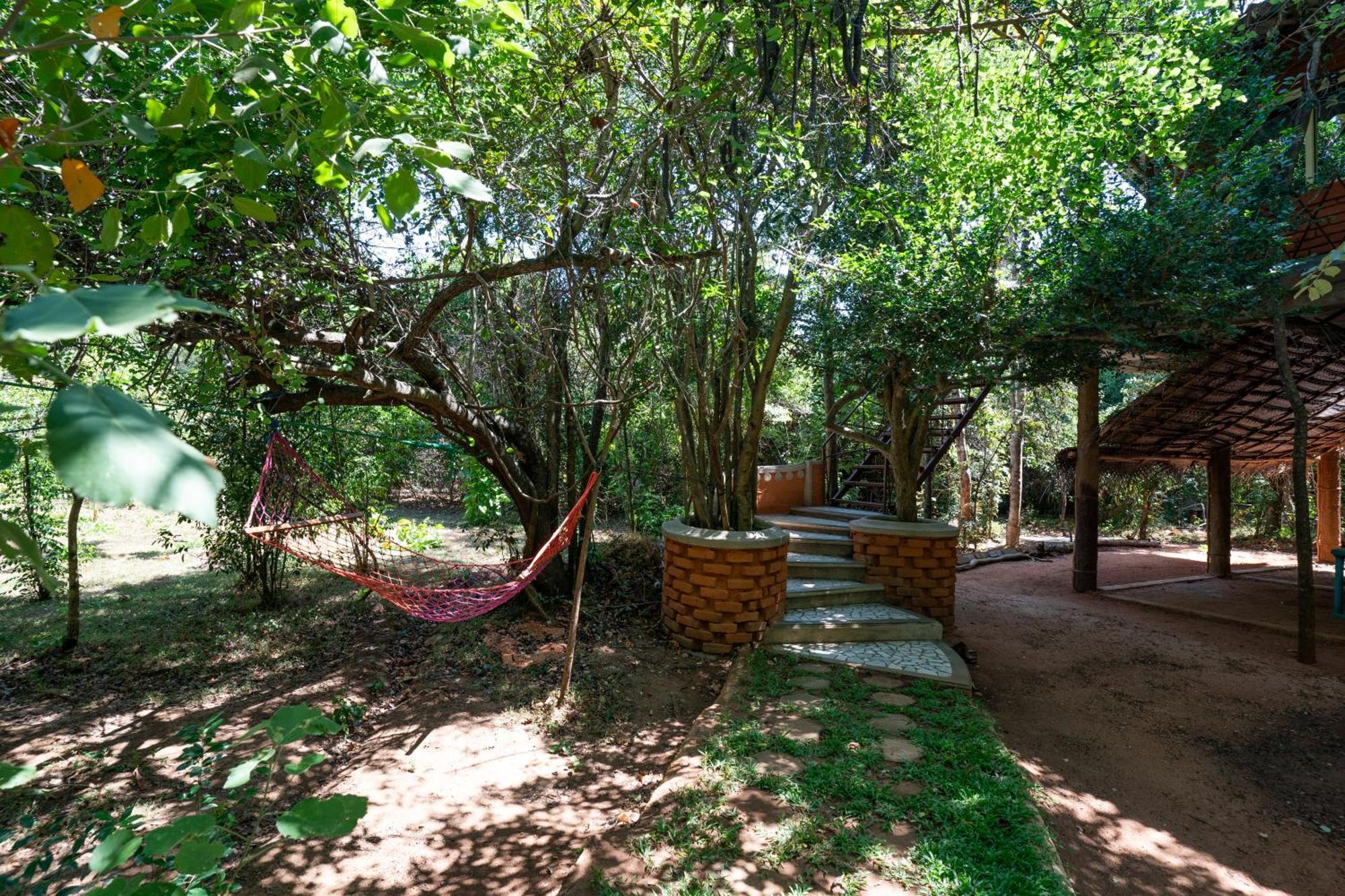 The Thick Forest Sigiriya Dış mekan fotoğraf