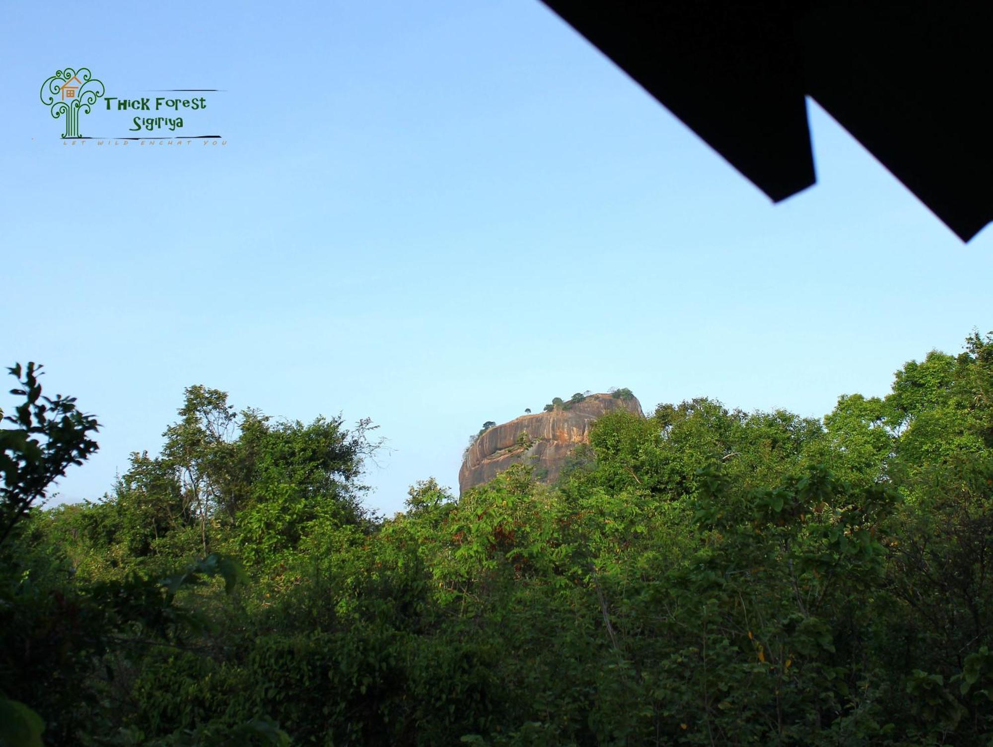 The Thick Forest Sigiriya Oda fotoğraf