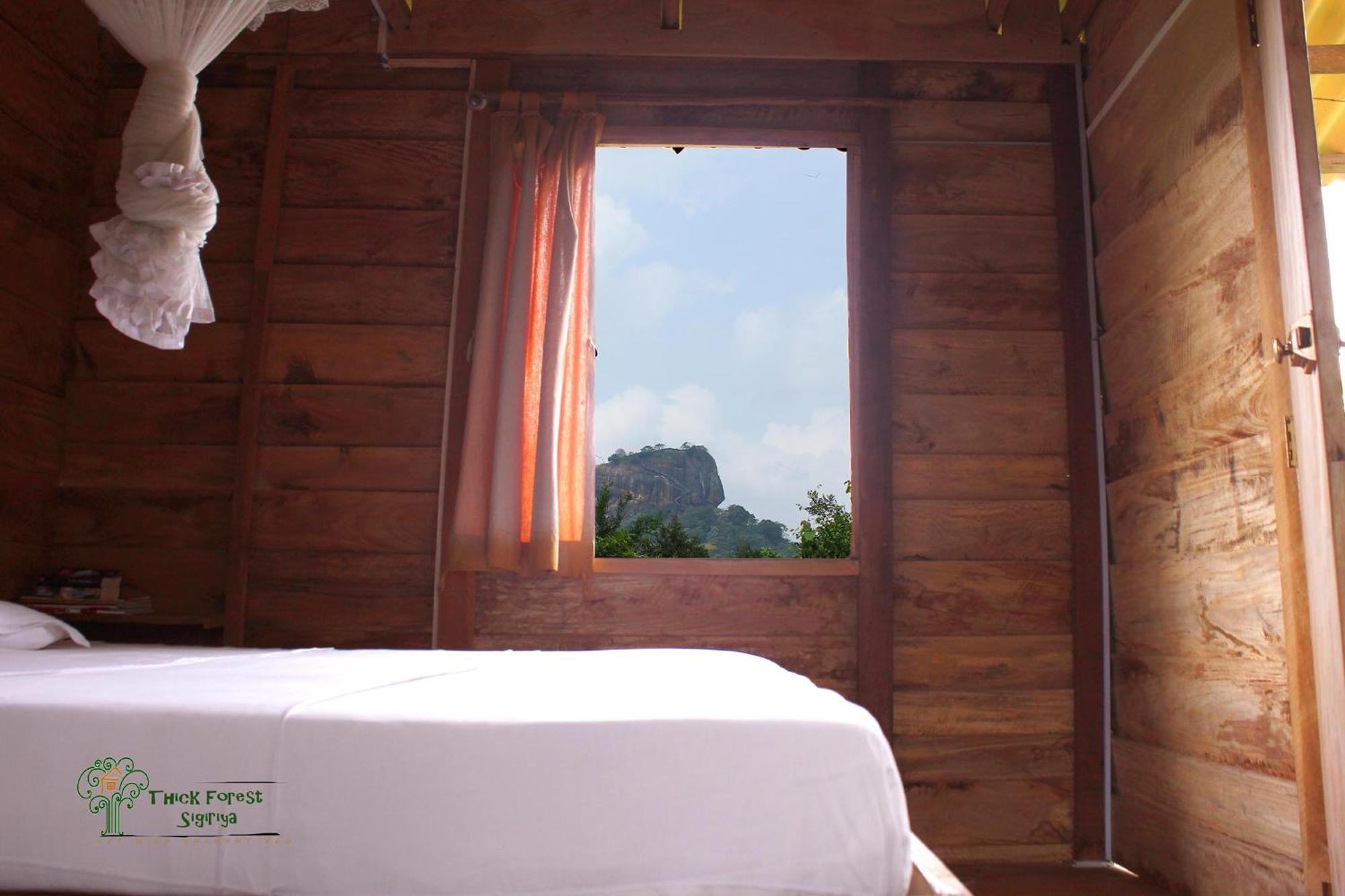 The Thick Forest Sigiriya Oda fotoğraf
