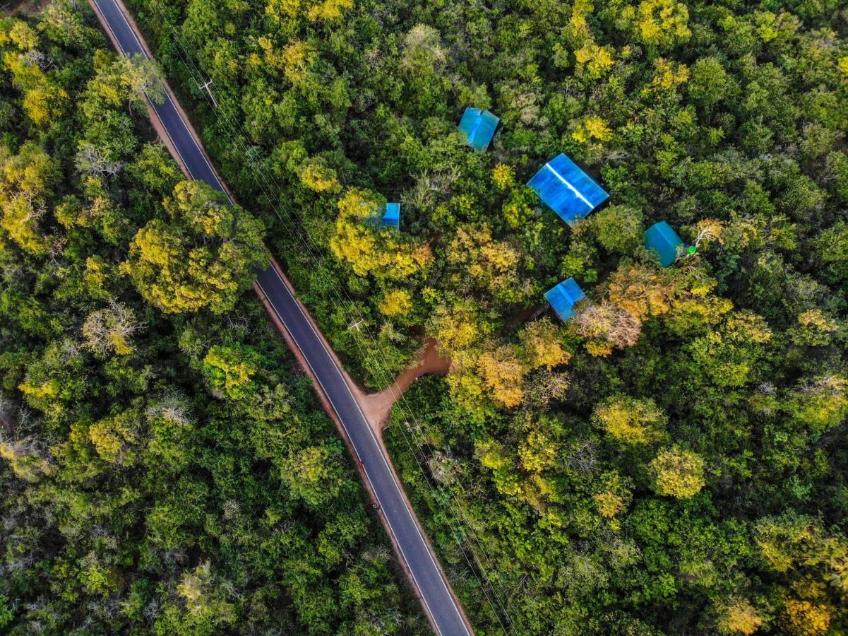 The Thick Forest Sigiriya Dış mekan fotoğraf